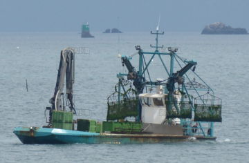 18m Oyster Barge