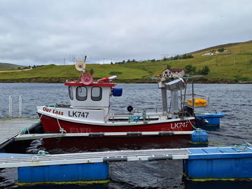 Orkney 21