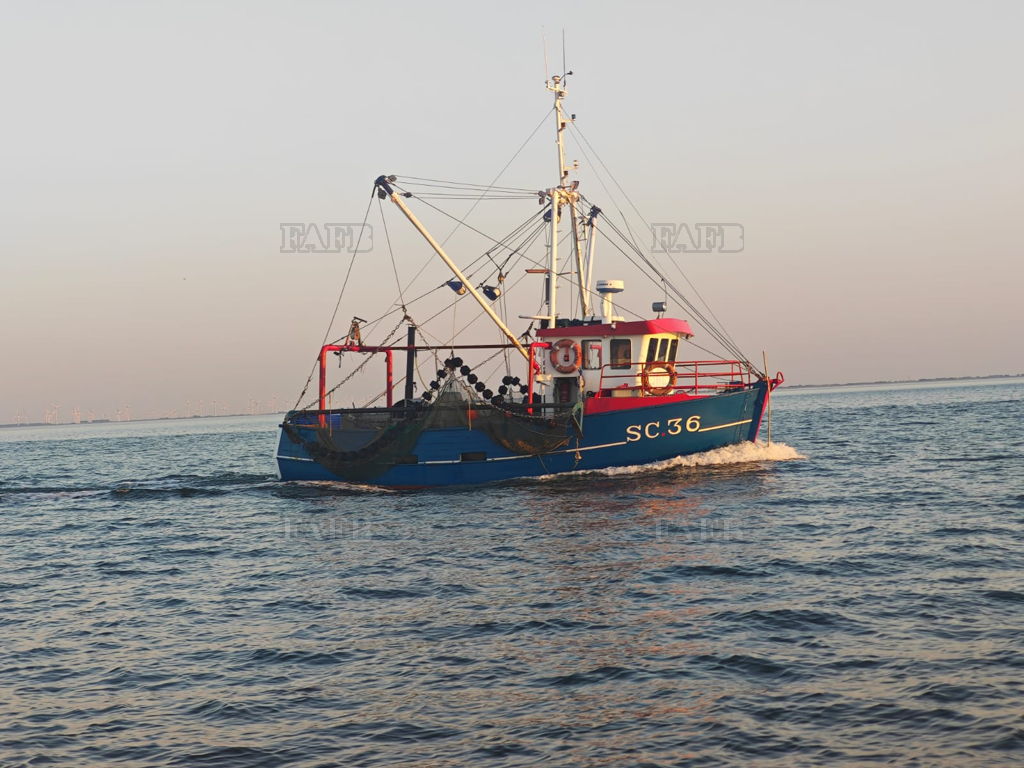 Pocket trawler