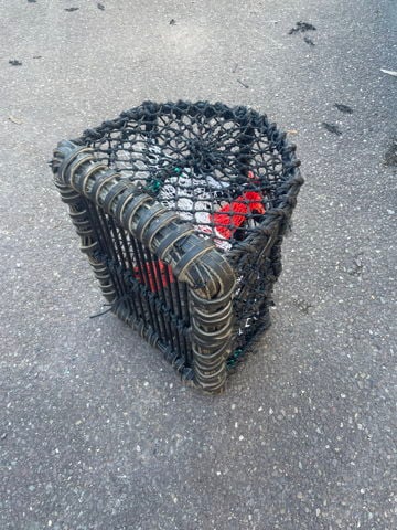 New 22x18 lobster crab pots