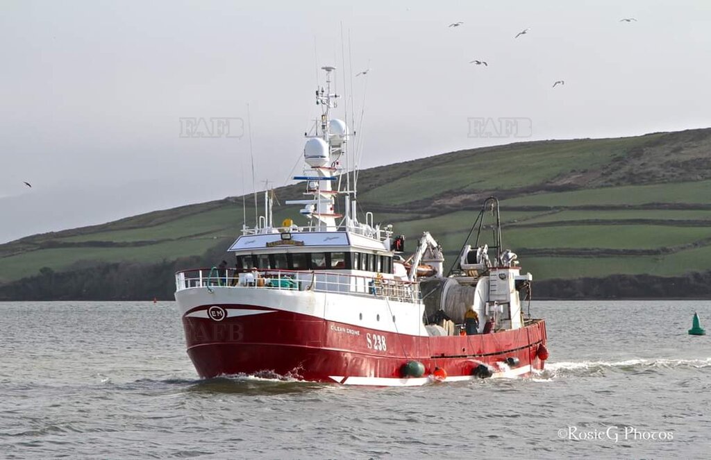 Pelagic (RSW) Trawler