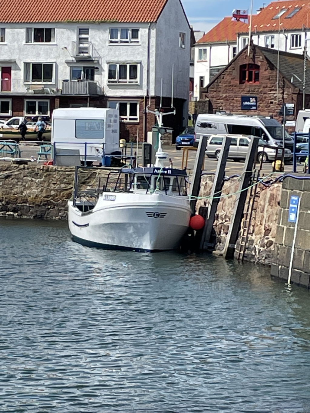 Kingfisher 26