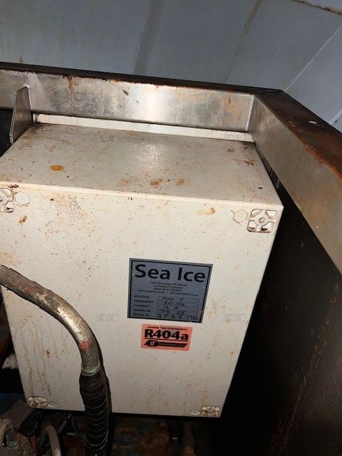 Salt water ice machine for sale