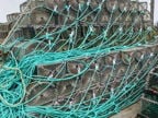 Lobster Pots and Prawn pots