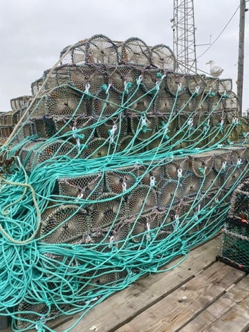 Lobster Pots and Prawn pots