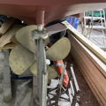 Thumbnail for picture 4