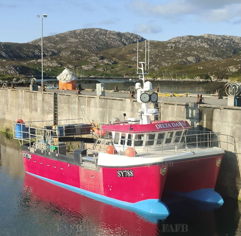 Gemini catamaran G12