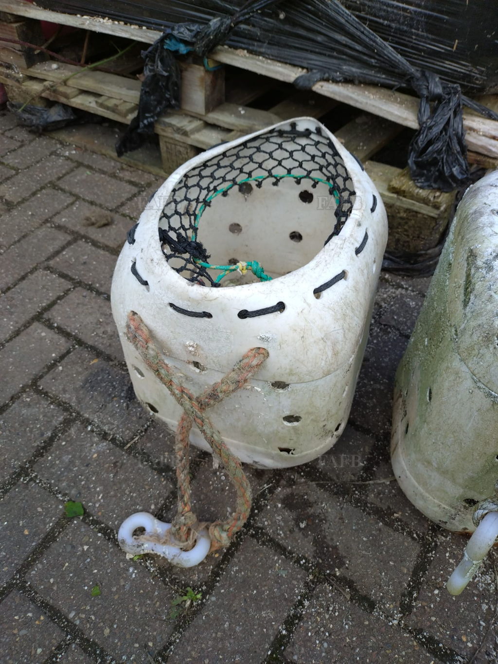 Stand up whelk pots