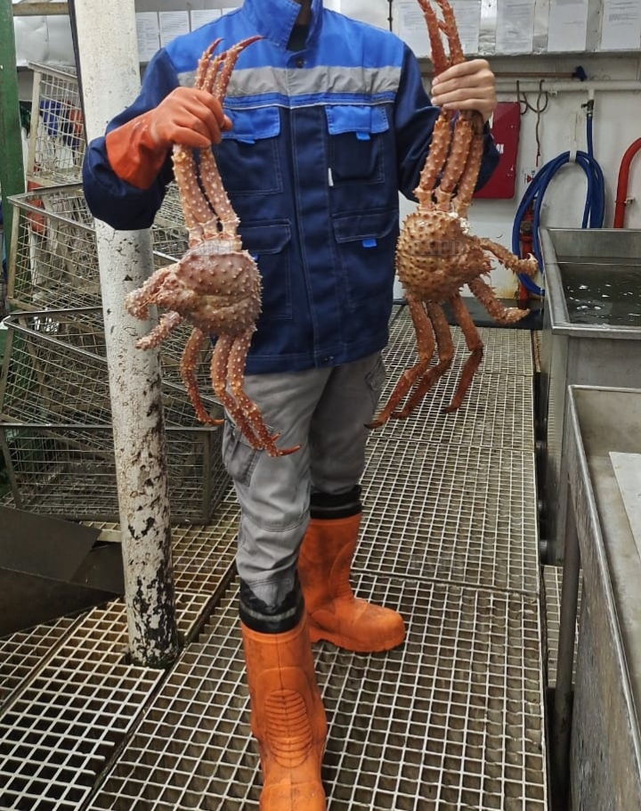 DeckHand for Trawl/longline/Crab boat