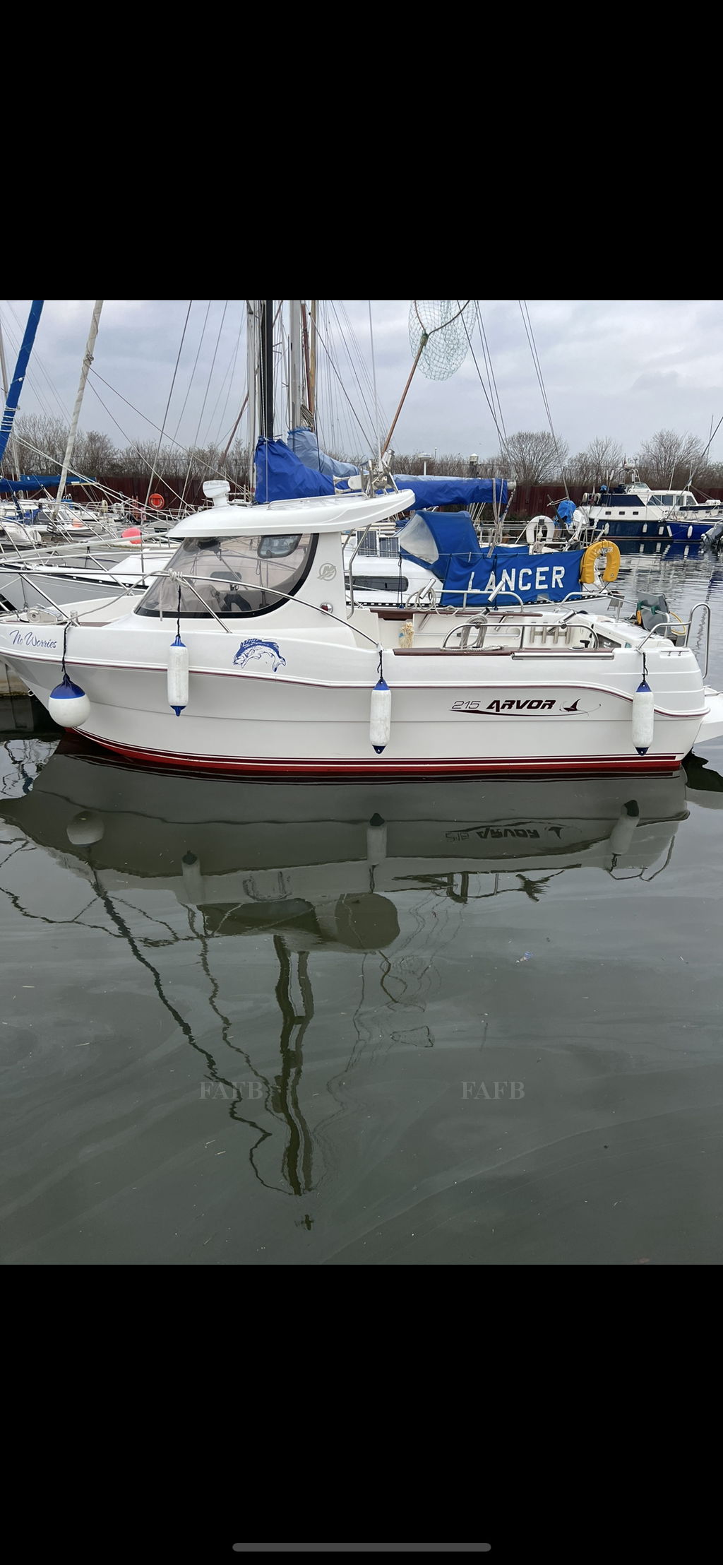 Arvor 215