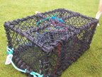 Lobster crab pots