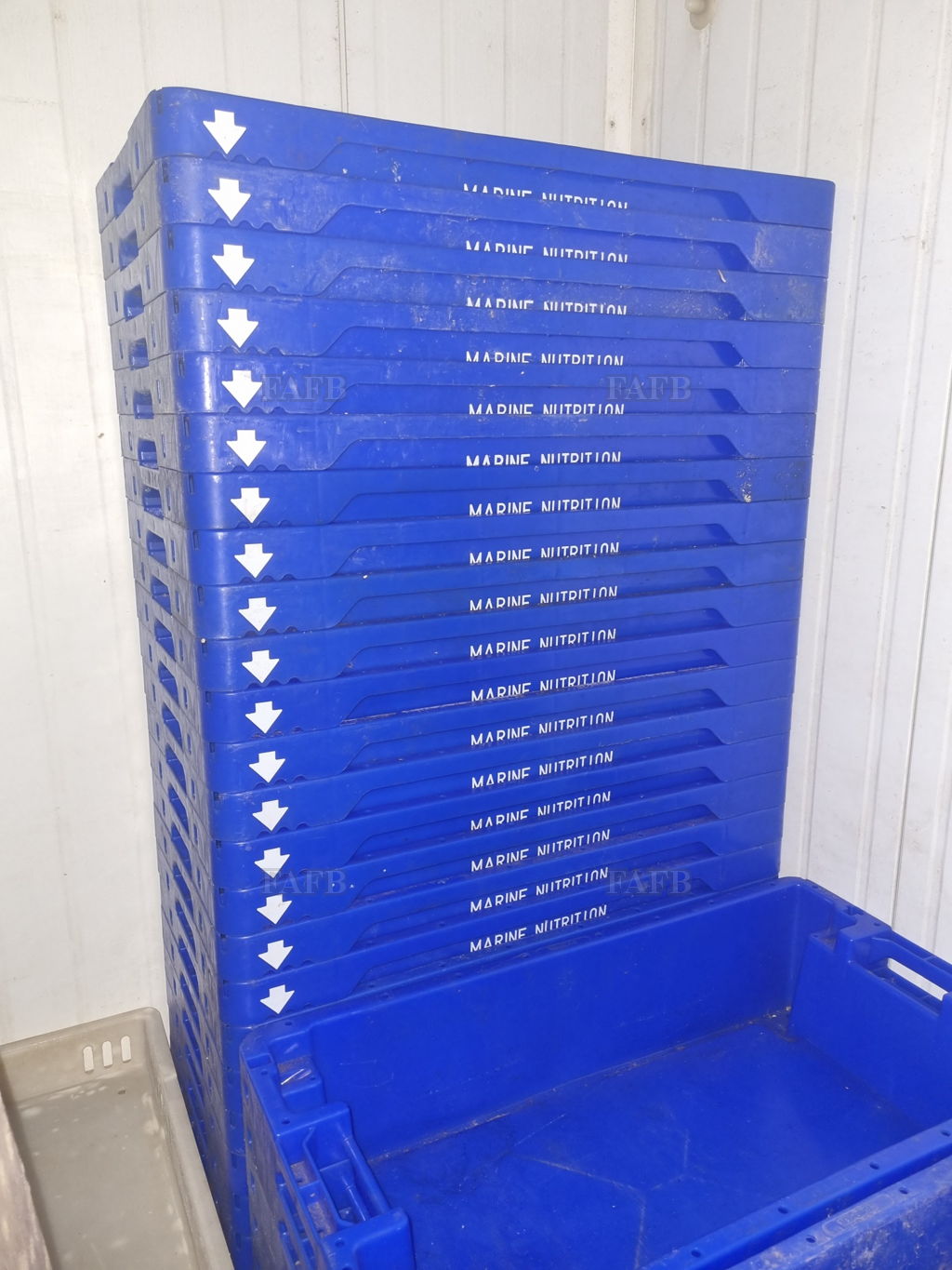 FISH BOXES FOR SALE