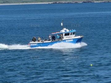 0hr engines Cougar catamaran