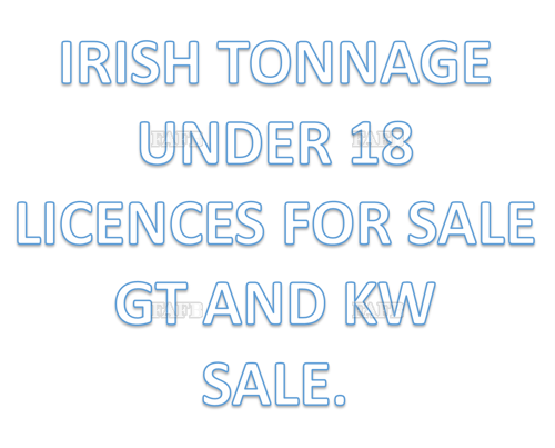 Irish - Under 18m Licence for sale - willing to split GT&#039;s - KW&#039;s