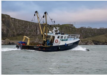 Beam trawl, Scolloping, Trawl