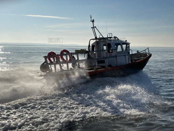 Thames dart