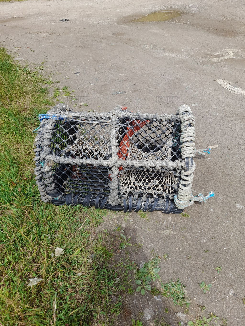 Crab/lobster pots